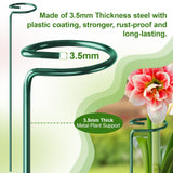 Fabulas 24 Pack Plant Support Stakes, 16 Inch Metal Garden Plant Stakes Single Stem Support Rings for Indoor Outdoor Amaryllis, Flowers Orchid, Lily, Peony, Rose, Tomato, Monstera, Narcissus