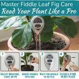 Fiddle Leaf Fig Health Meter, 3-in-1 Soil Moisture, Light & pH Testing Tool