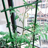 Orgrimmar 4 Pack Tomato Trellis & Cages, Plant Support Stakes for Outdoor Vertical Garden, Climbing Plants, Vegetables, Tomatoes, Cucumbers
