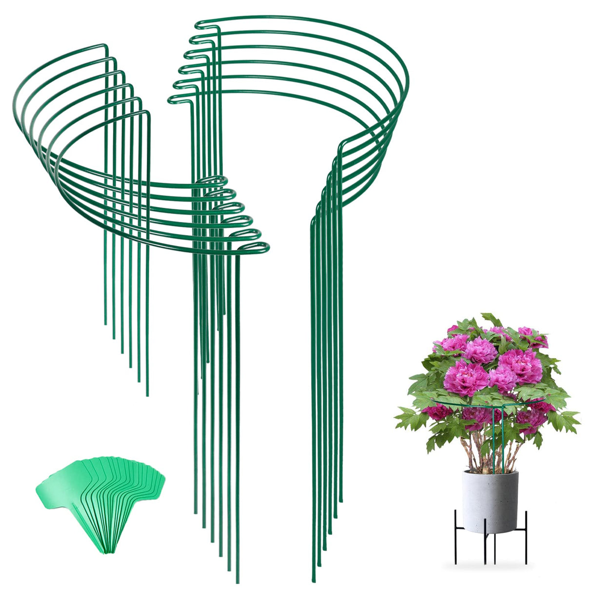 12 Pack 24 Inch Tall Snake Plant Support Stakes with 15 Twist Ties