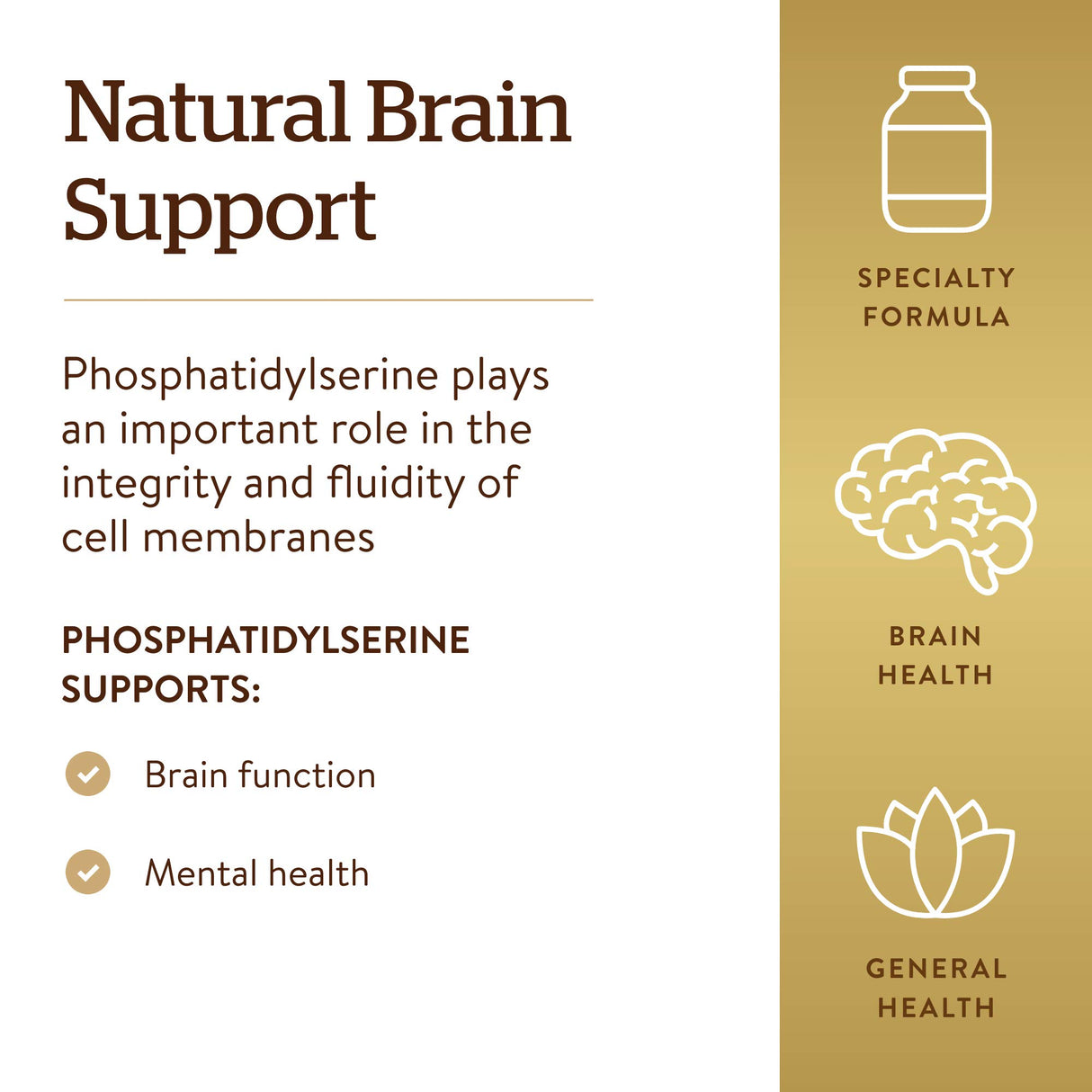 Solgar Phosphatidyl-Serine 200 mg, 60 Softgels - Premium Brain Health Supplement, Supports a Healthy Mind & Cognitive Function - Gluten Free, Dairy Free - 60 Servings