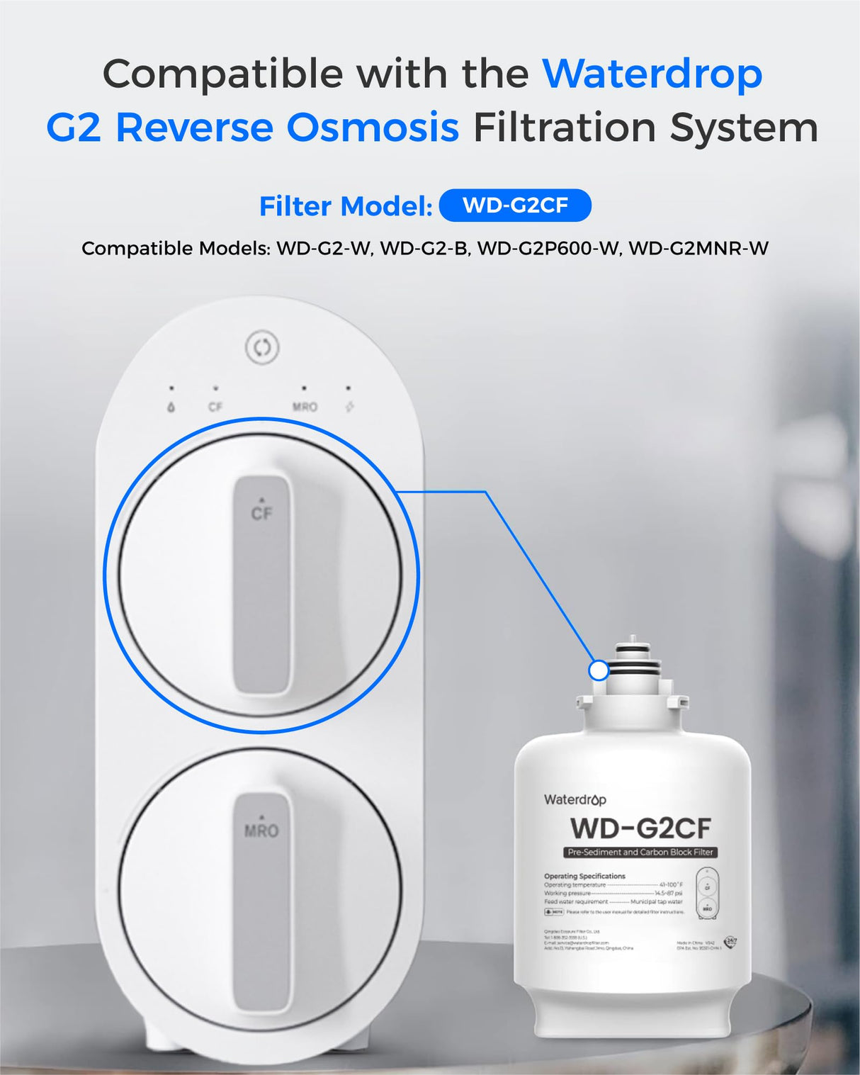 Waterdrop G2CF Filter, Replacement for G2 & G2P600 & G2MNR Reverse Osmosis System, 12-Month Lifetime