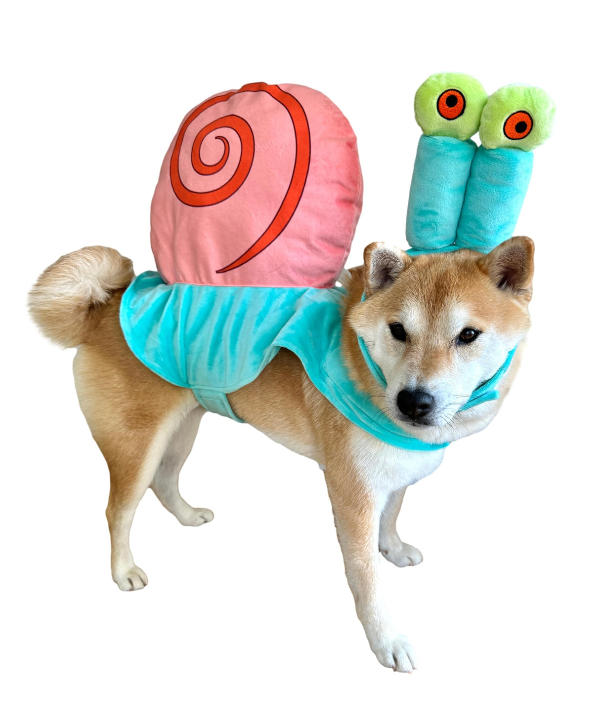 ComfyCamper Dog Sea Snail Pet Costume - XS Small Medium Large XLarge XXL Cosplay Halloween Costumes Christmas, L