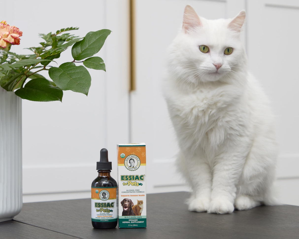 Essiac for Pets | USDA Organic | Daily Drops for Immune Support and Longevity | Pre-Measured Dropper | Alcohol Free Concentrated Formula | 2oz (59ml)