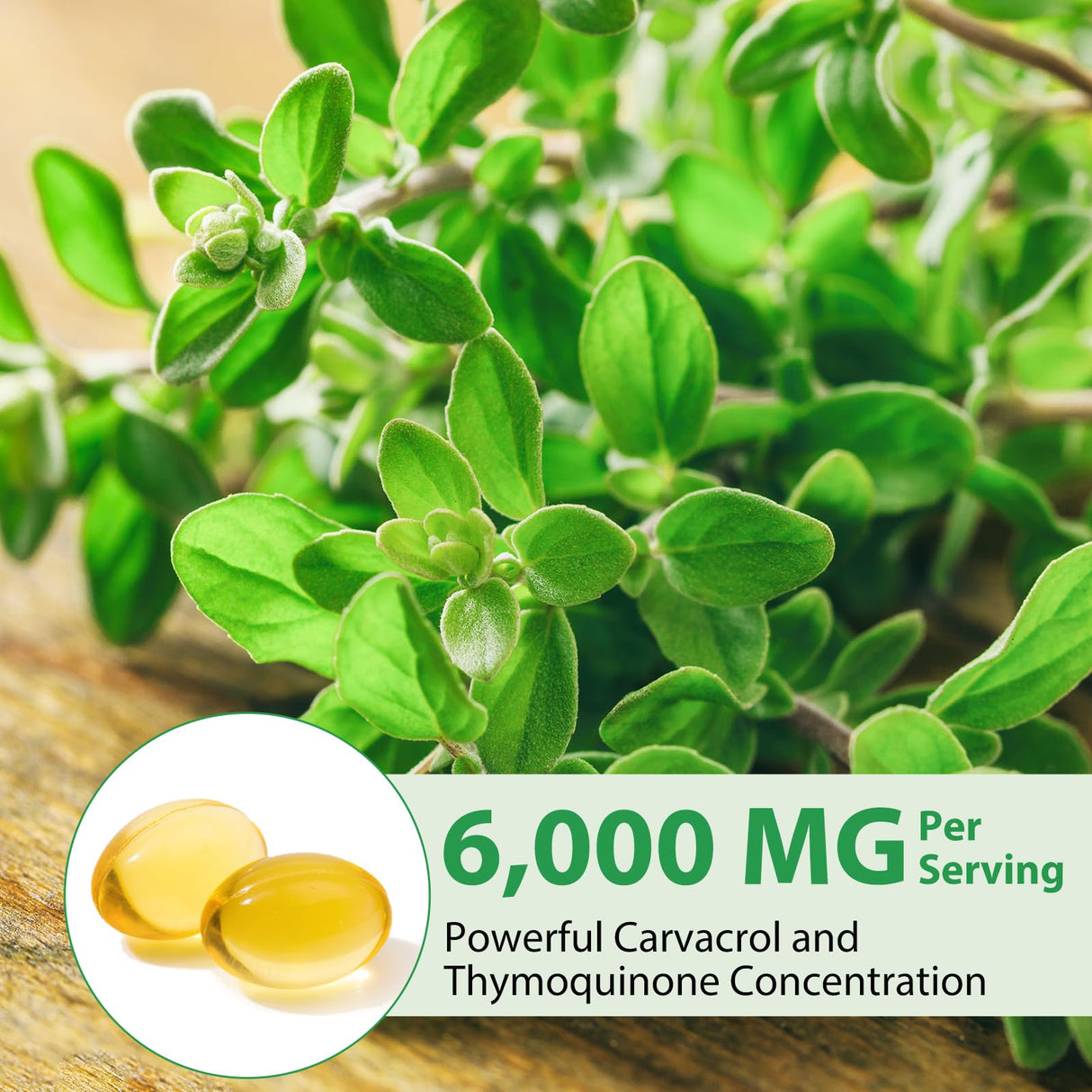 Oil of Oregano Softgels 6000mg, 120 Count | 2 in 1 Formulated with Black Seed Oil 200mg, Organic Oregano Oil Capsules, High Carvacrol & Thymoquinone for Immune Support | Non-GMO, Gluten-Free