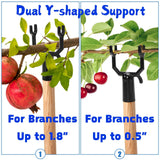 Coloch 20 Pack Metal Tree Branch Support, Y-Shape Tree Crutch Holders Plant Straightening and Leaning Kit Propping Up Branch Spreaders for Fruit Trees, Garden, Fit 0.75 in Round Pole
