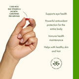 Swanson Beta-Carotene Vitamin A 25,000 IU Eye and Skin Health Supplement for Adults Seeking Vision and Immune Support - 7,500 mcg (300 Softgels)