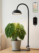 GLOWRIUM Smart Grow Lights for Indoor Plants,10W Full Spectrum Plant Lights with Bluetooth App Control, 360° Flexible Gooseneck Grow Lamp, Auto Timer 3/9/12Hrs, 10 Brightness for Small Plants, Black