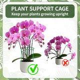 Moiggonoy 36 Pack Plant Support Stakes Sets - Versatile Plant Cages, Stackable Garden Flower Support， Small Plant Stakes for Indoor Plants,Tomato,Monstera, Peony, Hydrangea, Climbing Plants