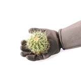 COOLJOB Thorn Proof Rose Pruning Garden Gloves for Men, Long Sleeve Padded Yard Work for Bush, Blackberry, Cactus, Heavy Duty/Puncture Resistant/Machine Washable, Xlarge, Navy