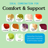 JLM NUTRITIONALS Supernaturals IBSolution - Support for Bloating, Constipation, Diarrhea, and Gas, Bowel Support Digestion Supplement, Vegan, 60 Count