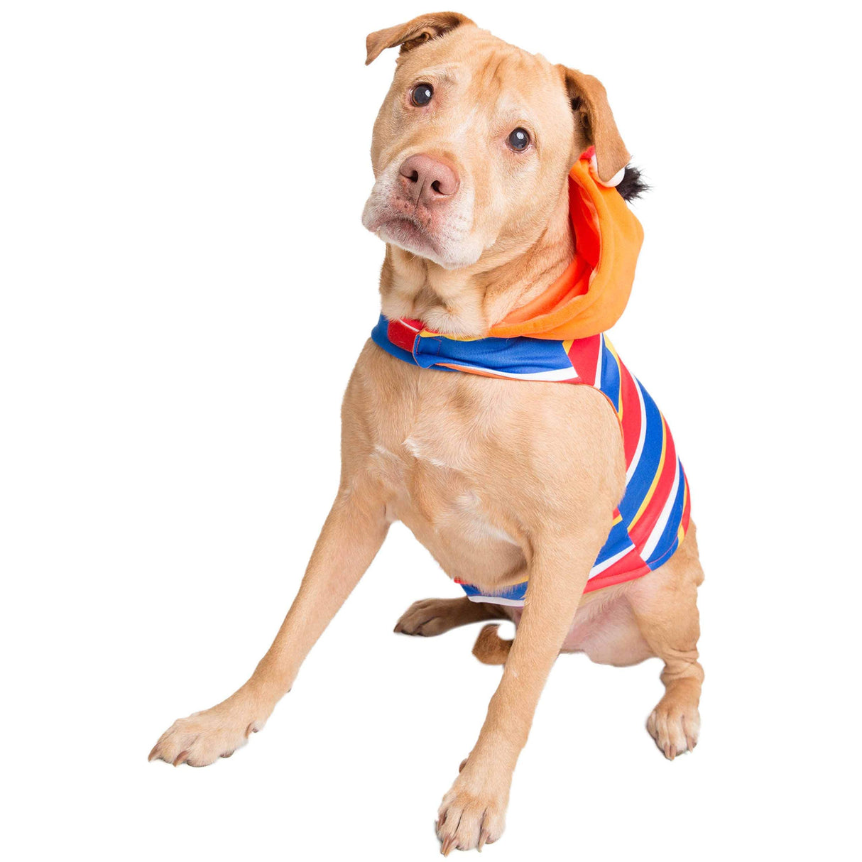 Pet Krewe Large Ernie Costume - Sesame Street Ernie Dog Costume - Fits Small, Medium, Large and Extra Large Pets - Perfect for Halloween, Christmas Holiday, Parties, Photoshoots, Gifts for Dog Lovers