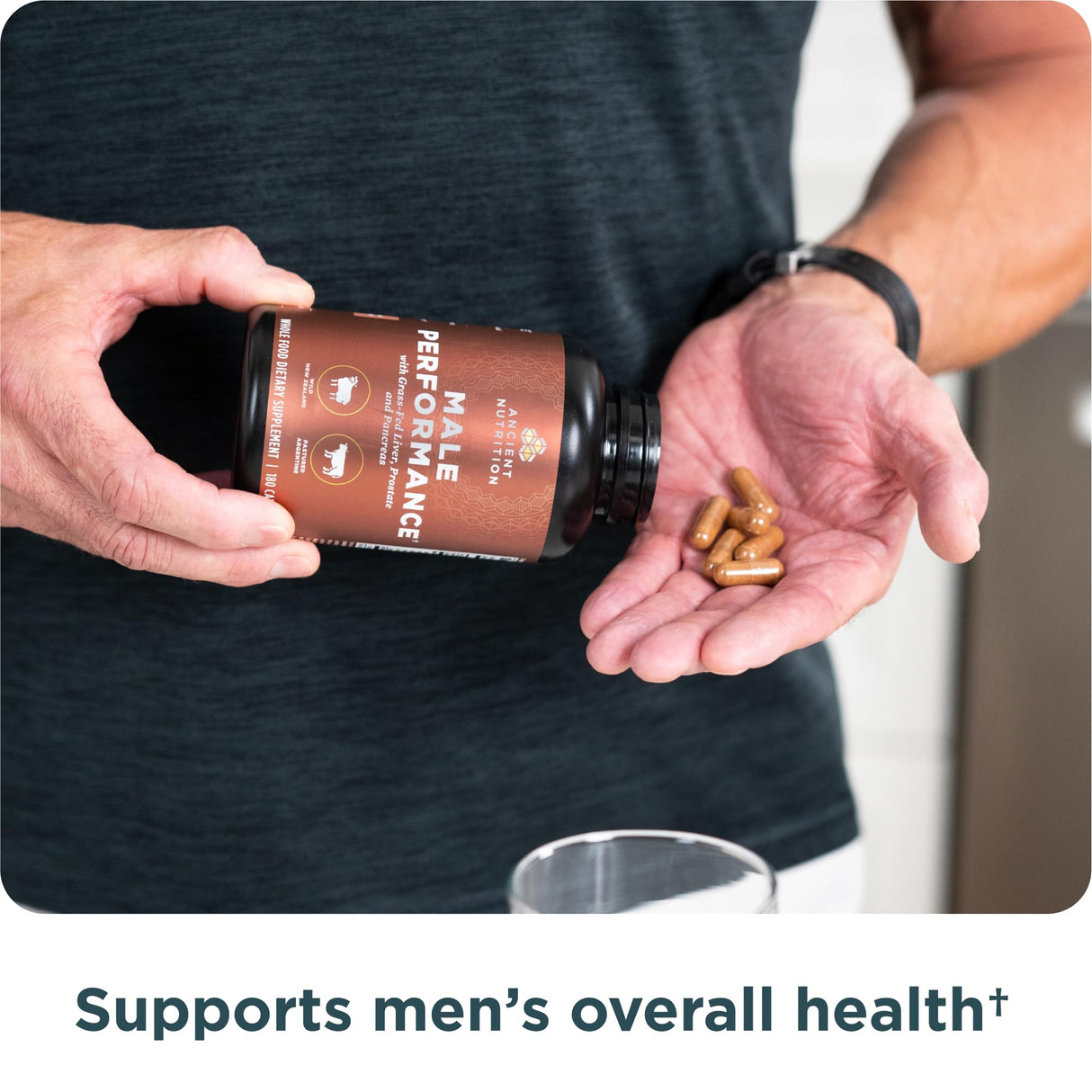 Ancient Nutrition Organ Supplements for Men, Grass-Fed and Wild Organ Complex Capsules, Liver, Prostate, Pancreas Supports Male Performance, Healthy Aging, 180 Ct