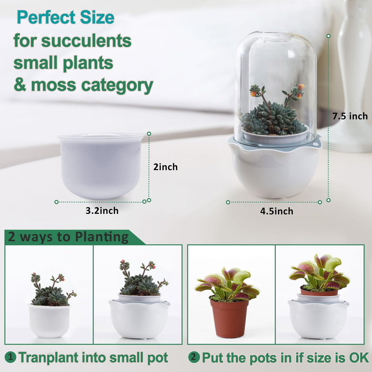 Smart Venus Fly Trap Terrarium Pot with Timer&Fan,Butterwort Plant Pot with Grow Light,Plant Terrarium Kit for Carnivorous Plants, Christmas Birthday Gifts for Women Garden Lover (No Plant)