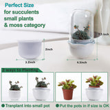Smart Venus Fly Trap Terrarium Pot with Timer&Fan,Butterwort Plant Pot with Grow Light,Plant Terrarium Kit for Carnivorous Plants, Christmas Birthday Gifts for Women Garden Lover (No Plant)