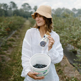 GoMacro Macrobar Organic Vegan Protein Bars - Blueberry + Cashew Butter (2.3 Ounce Bars (Pack of 12)