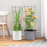 HiGift 4 Pack 24'' Plant Trellis for Climbing Plants Indoor, Outdoor Metal Garden Trellis for Climbing Plants, Metal Plant Stakes Plant Trellis for Houseplant Vine Ivy Flowers