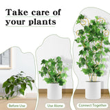 ZOUTOG Trellis for Climbing Plants Indoor 4 Pack 30 Inch,Rustproof Metal Garden Trellis for Potted Plants,Sturdy Houseplant Support Indoor Outdoor for Ivy Pothos Monstera Hoya Flower Vine(Golden Moon)