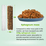 Bluepro 4 Pcs 15 Inch Plastic Moss Pole for Plants Monstera Set with 5.3oz/150g Sphagnum Moss, Plant Poles for Climbing Plants, Plant Support for Indoor Plants, Garden Ties