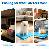 Tapleap Large Ice Packs for Coolers (4Pcs) - 13 x 10 inch, 6Lb