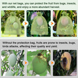 Shintop 100Pcs Fruit Protection Bags, 8x12 Inch Green Grape Netting Cover