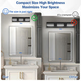 JZEKVN Modern LED Small Bathroom Lights Fixtures 3-Light,Metal Black Acrylic Wall Lighting,Vanity Lights for Bathroom Over Mirror 6000K 16in