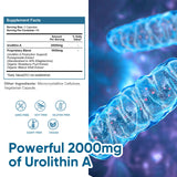 DQQI Urolithin A Supplement 2000 mg - 120 Capsules Unleashing Powerful Antioxidant Shield, Boosting Healthy Aging & Mitochondrial Health and Cell Repair Support for Men & Women