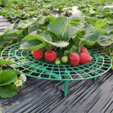 10 Pack Strawberry Supports Keeping Fruit Elevated & Balcony Planting Rack Fruit Support Plant Flower Climbing Vine Pillar Gardening Stand