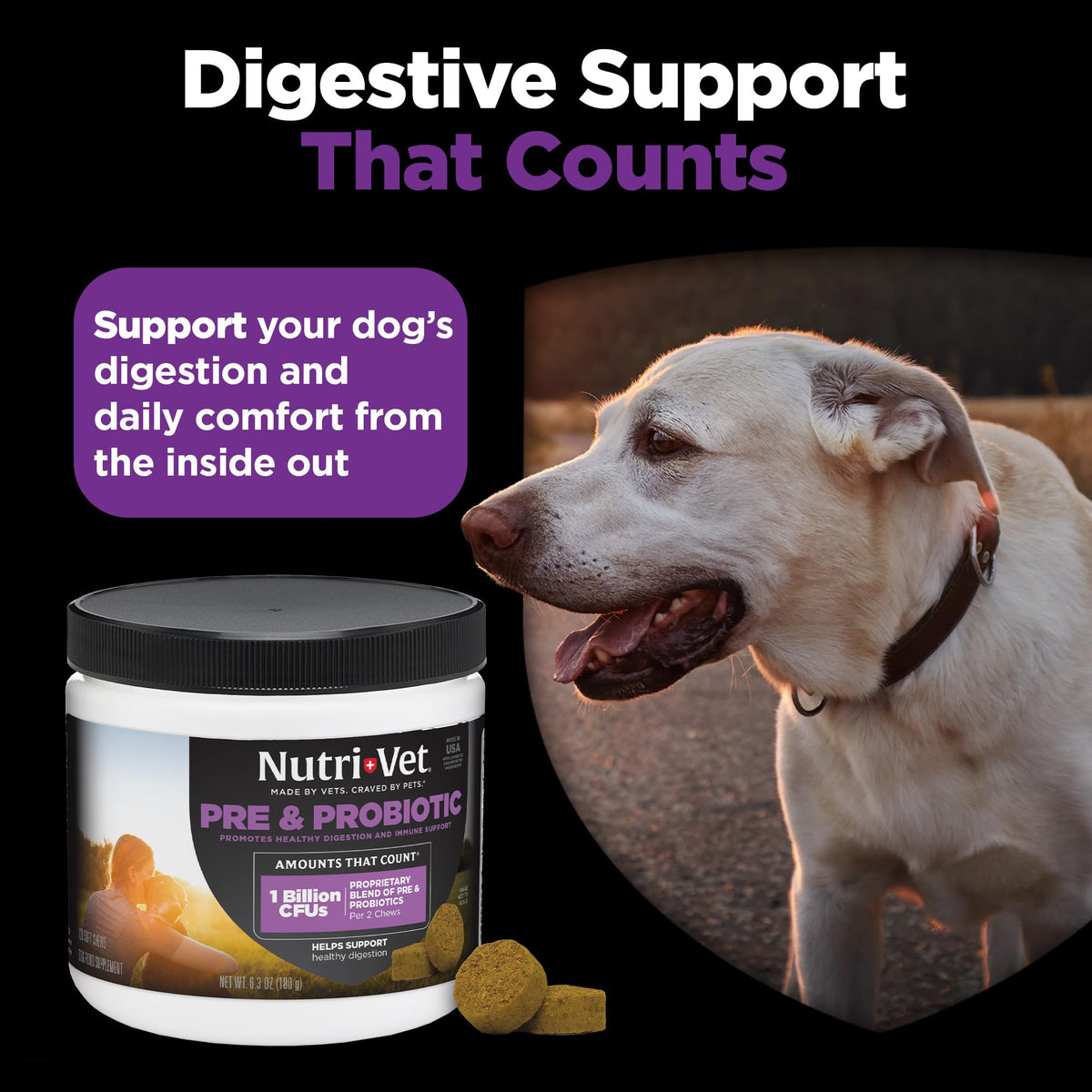 Nutri-Vet Pre & Probiotics for Dogs, Dog Probiotics, 120 Soft Chews