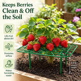 AWUREYIT 10 Pack Plastic Strawberry Plant Support Stands – Garden Wire-Style Frames for Raised Beds and Pots – Lightweight Stake Holders for Flower and Vegetable Plants – Outdoor and Indoor Gardening