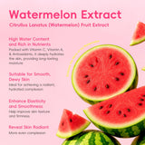 QUIYUM Watermelon & Niacinamide Skincare Set for Women Teens Girls, 5PCS
