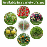 1Pack 13x13ft Large Fruit Tree Netting with Zipper and Drawstring – Anti-Insect, Anti-Bird Protection for Apple, Peach, Cherry Trees and Vegetables – Ideal for Home Gardens,Small Organic Farms