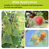 YHJZ 100PCS Fruit Protection Bags, 8x12 Inch Green Fruit Netting Cover Bags Drawstring Mesh Fruit Protectors Pest Barrier for Plant Fruit Flower Veggies Garden
