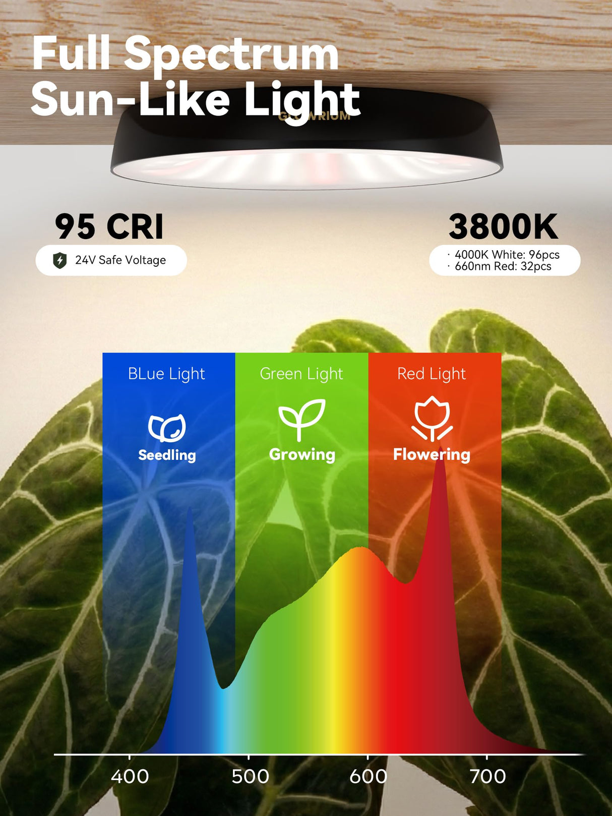 GLOWRIUM Grow Lights for Indoor Plants, Full Spectrum Puck Grow Light with Manual & APP Control, 32W(4 x 8W) Plant Lamp Auto-Timer, Plant Assistant 10 Levels Dimmable for Plant Shelf (4 Packs,Black)