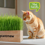 Cat Grass Kit for Indoor Cats - 3 Pack with Cat Grass Seeds, Nutrient Soil & Planter Pots | Complete Growing Set for Fresh Pet Grass (Non-GMO Wheat Grass)