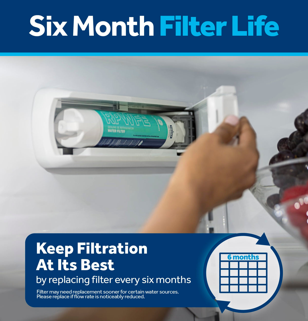 GE RPWFE Refrigerator Water Filter, Genuine Replacement Filter, Certified to Reduce Lead, Sulfur, and 50+ Other Impurities, Replace Every 6 Months for Best Results, Pack of 1