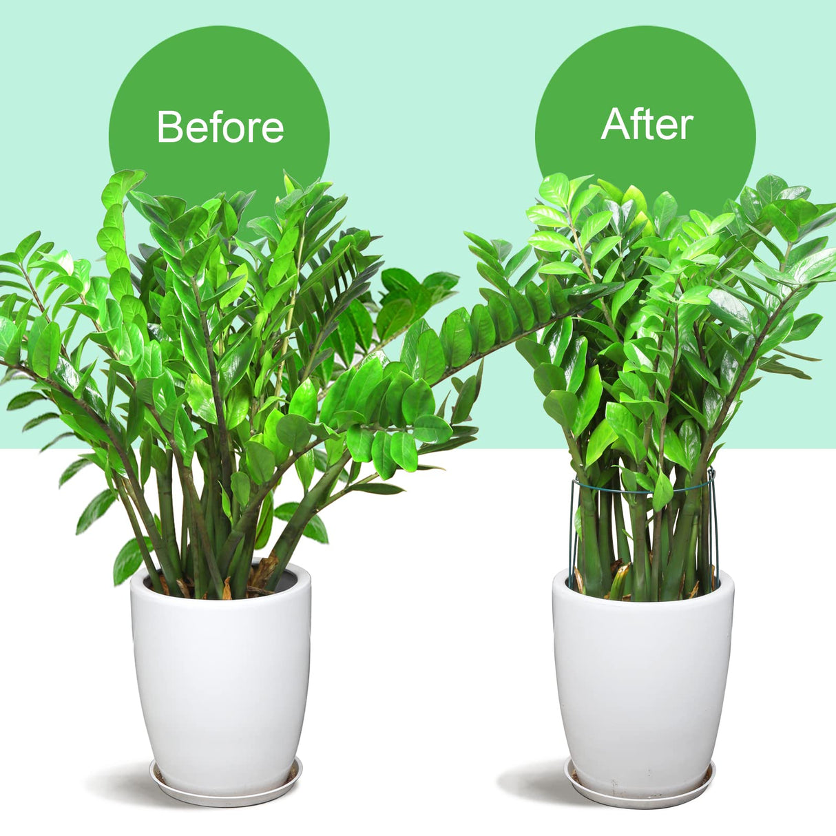 LEOBRO Plant Support Plant Stakes, 12pcs Peony Cages and Supports, Metal Garden Stakes Plant Supports, Plant Support Stakes, for Peony, Tomato, Hydrangea, Indoor Outdoor Plants, 10" W x 15.8" H