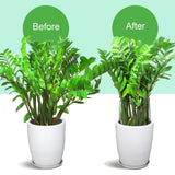 LEOBRO Plant Support Plant Stakes, 12pcs Peony Cages and Supports, Metal Garden Stakes Plant Supports, Plant Support Stakes, for Peony, Tomato, Hydrangea, Indoor Outdoor Plants, 10" W x 15.8" H