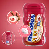 Pure Fresh Sugar Free Chewing Gum with Xylitol, Mento's Cinnamon, Bulk, 50 Piece Bottle (Pack of 2)