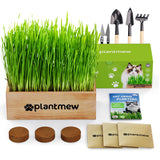 Cat Grass Kit for Indoor Cats - 3 Pack with Cat Grass Seeds, Nutrient Soil & Planter Pots | Complete Growing Set for Fresh Pet Grass (Non-GMO Wheat Grass)