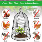 6 Pack Garden Chicken Wire Cloche,19" x 14" Large Plant Protector Cover for Keeping Squirrels,Rabbits,Bunny Chickens Bird Small Animals Out Garden Decoration Wire Plants Dome Metal Cloches-Black