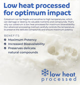 Bovine Colostrum for Women - Colostrum Supplement with 1,000mg per Serving and 30% IgG Immunoglobulins from First Milking - Low Heat Processed for Maximum Potency Non-GMO & Made in The US (1 Month)