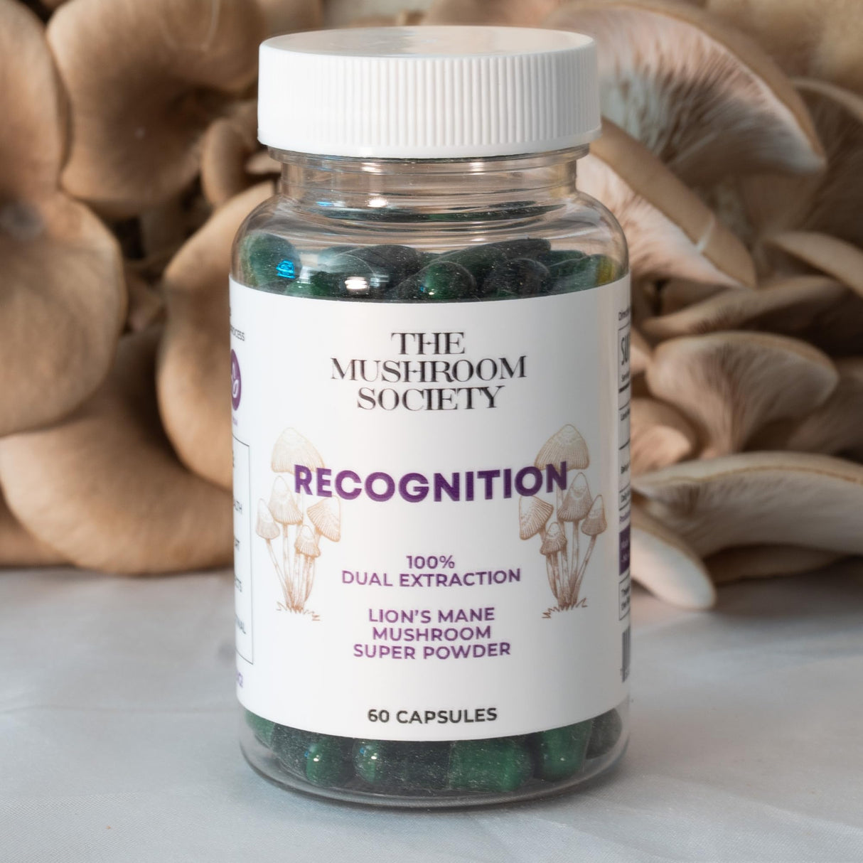 The Mushroom Society Recognition Lion’s Mane Supplement- Dual Extraction Lion’s Mane Super Powder - Mushrooms Supplement for Cognitive & Mood Support - 60 Capsules