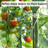 EUOKOK Rebar Stakes 24 Inch Straight Metal Spikes (40pcs) Ground Anchors