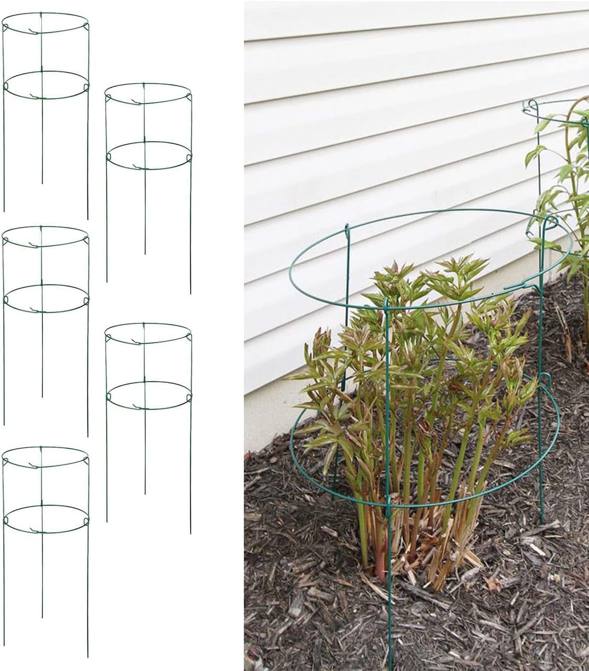 MTB Supply 5 Pack 36" x 18" Peony Double Ring Plant Support,Plant Support Stakes for Tomatoes Peony Lily Rose Plant Support Rings Peony Cages for Outdoor Plants Flowers Vegetables