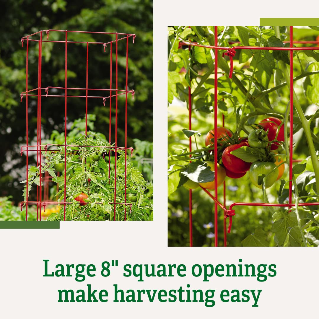 Gardener's Supply Company Lifetime Tomato Cages, Red, Set of 4