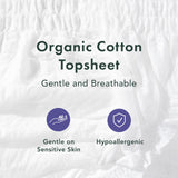 Rael Disposable Underwear for Women, Organic Cotton Cover - Postpartum Essentials, Leak Locker, Unscented, Maximum Coverage (Size L-XL, 20 Count)