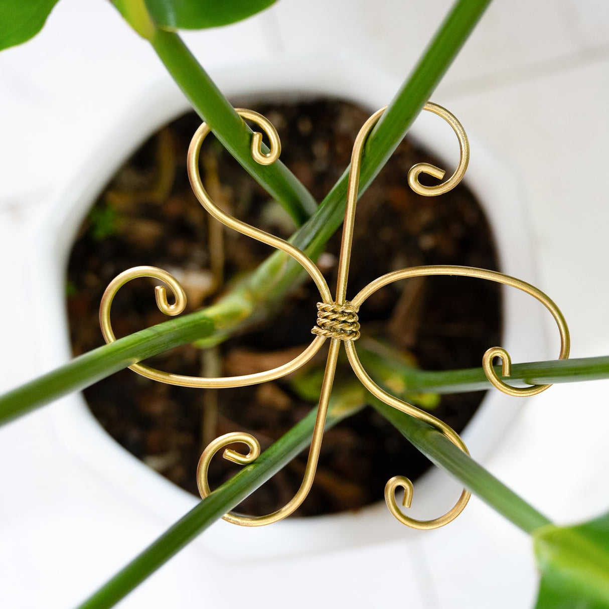 YOHSNOR 5PCS Monstera Plant Support Hooks-Gold 5.5in Stem Supports