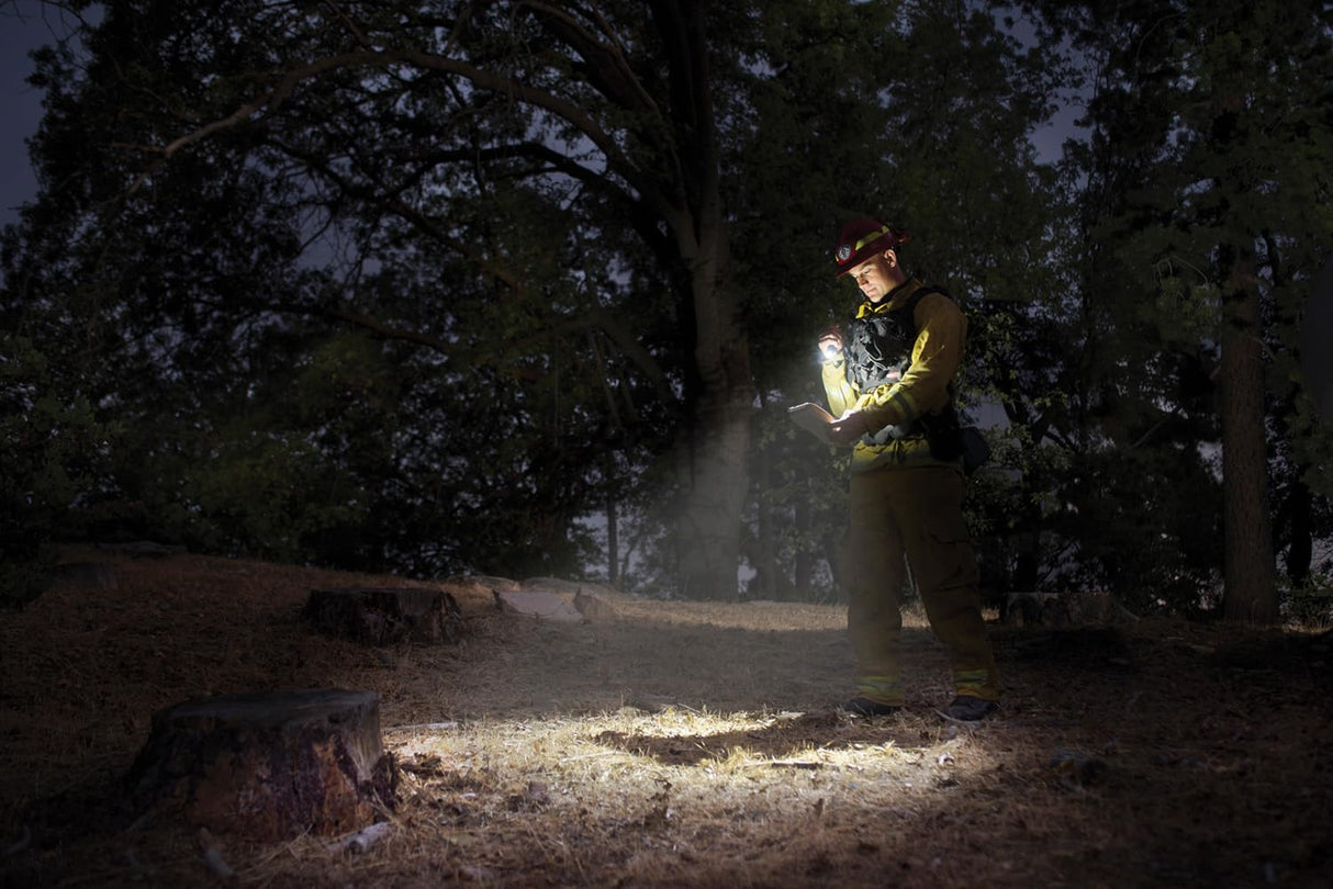 Mini Maglite Pro LED 2-Cell AA Flashlight, High Lumen, Water-Resistant, Adjustable Focus – Black