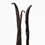 Calvin Klein Euphoria for Women Eau de Toilette, 3.3 Fl Oz